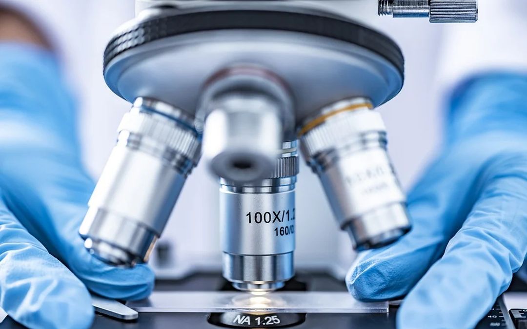 Man voert DNA in op internet; wordt gepakt voor verkrachting 14 jaar geleden