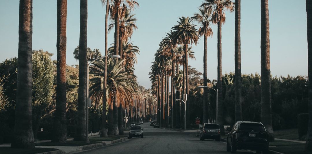 Naakte inbreker in Bel Air: “dit is mijn huis”, maakt vervolgens parkieten dood