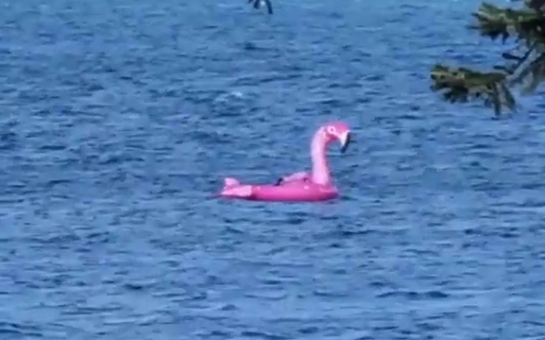Opvarenden op drift geslagen opblaasbare reuze Flamingo gered