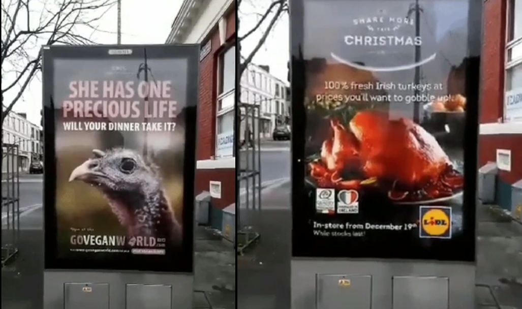 Vegan of toch niet?