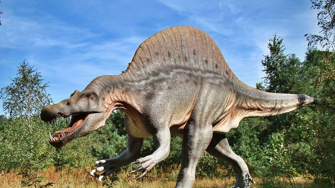 Dinosaurus-ei van 66 miljoen jaar geleden, bevat embryo