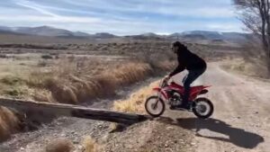 Beste video's van de week